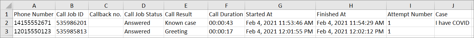 Call attempt report